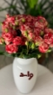 Picture of Baby rose vase flower 