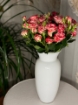 Picture of Baby rose vase flower 