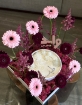 Picture of Ohlala x Wayid gift 1