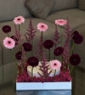 Picture of Ohlala x Wayid gift 1