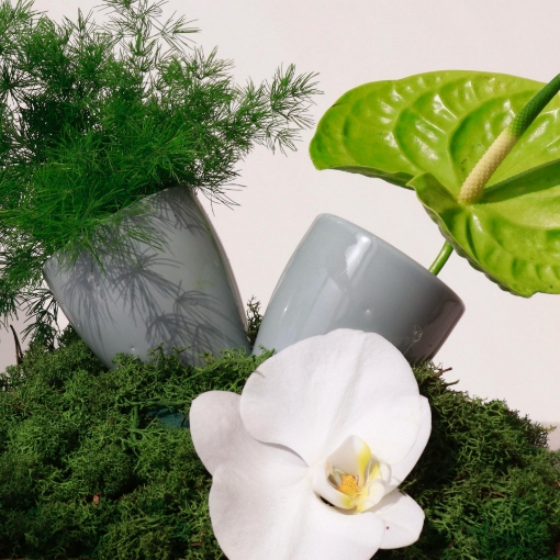 Picture of Espresso cups gifts 