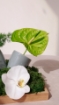 Picture of Espresso cups gifts 