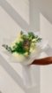 Picture of Tulip bouquet 