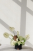 Picture of Flowers with money arrangements 