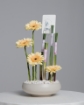 Picture of Lilian flower vase
