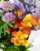 Picture of Hand bouquet 
