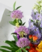 Picture of Hand bouquet 