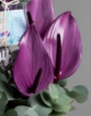 Picture of Modern flower vase 