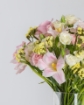 Picture of Flower vase  🌷