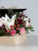 Picture of Graduation tray 