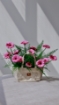 Picture of Garden bag