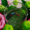Picture of Fish with flowers 