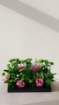 Picture of Fish with flowers 