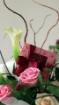 Picture of Perfume gifts