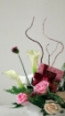 Picture of Perfume gifts