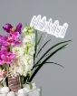 Picture of Elegant vase
