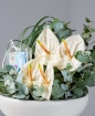 Picture of White flower vase