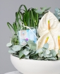 Picture of White flower vase