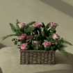 Picture of Gifts with perfume 