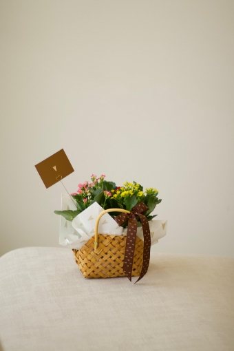 Picture of Flowers plant