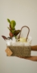 Picture of Plants gift 