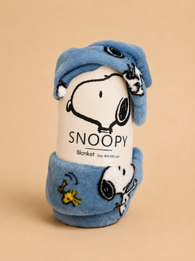 Picture of Snoopy blanket