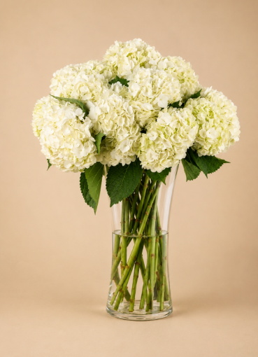 Picture of Hydranja vase